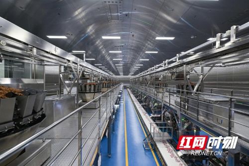 清華大學(xué)學(xué)子走進(jìn)勁仔食品，共探“科研興企”新路徑